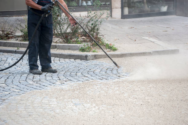 Best Gutter Cleaning  in Seth Ward, TX